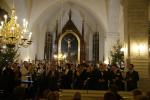 Picture 048